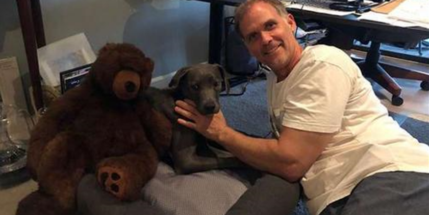 Pets are such loyal companions. While we may only have them for part of our lives, they have us for all of theirs. That’s why it’s so heartwarming to know that this sweet dog, Ellie, has finally found a loving home where she’ll be cared for forever ❤️🐾🙏. Ellie, a one-year-old Blue Lacy dog, used to live with her family near Dallas, Texas. But one day, they decided they no longer needed her, leaving Ellie and her beloved teddy bear at a shelter. Ellie clung tightly to her teddy, confused and heartbroken about what had happened to her family 💔. Before abandoning her, Ellie’s family had gone through the trouble of having her sterilized, microchipped, and given all the necessary shots. But despite all of this, they left her alone in a loud, scary shelter where she faced the possibility of being euthanized if the shelter needed more space. It was a sad and uncertain time for Ellie, but her story was about to take a much happier turn! 💕 Fortunately, Ellie didn’t have to stay at the shelter for long. A dog rescuer in New York City named Jennifer Jessup found Ellie through an online search. Jennifer knew her brother in Florida had always wanted to adopt a Blue Lacy dog, and she quickly reached out to him. With her brother ready to give Ellie a loving home, Jennifer made arrangements to get Ellie out of the shelter and start her on her journey to Florida 🛤️. Jennifer’s friend helped Ellie get cleaned up and make sure all her paperwork was in order before placing her with a foster family while they prepared for her move. Ellie was still holding tight to her teddy bear, her source of comfort through everything she had been through. Even when the family tried to take a picture of Ellie without her toy, she snuggled with it in fear, unwilling to let it go 🧸. Finally, the day came for Ellie to meet her new dad! She made the long journey from Texas to Florida, where her new owner welcomed her with open arms. Although Ellie was tired after her travels, her new dad stayed with her all day, making sure she felt safe and comfortable in her forever home. After such a difficult and chaotic time in her life, Ellie was slowly starting to relax, thanks to the love and attention she received from her new family 🏡❤️