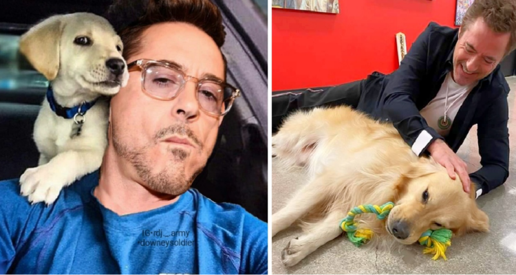 Robert Downey Jr. is truly an amazing person, not just for playing iconic roles like Iron Man, but for his big heart when it comes to animals ❤️🐾. He has a deep love for animals and has opened his home to many rescue pets, giving them the love, care, and forever homes they deserve. People like him are a blessing, showing compassion to animals who need it most. Robert’s love for animals isn’t just something he talks about—it’s something he lives every day. He and his wife, Susan, have adopted several rescue pets, including two kittens named Monty and D’Artagnan, who quickly became part of their family 🐱🐾. In 2017, Robert also rescued Moly, a black cat who had been through a tough past, but is now safe and happy in their home. Robert’s love for animals doesn’t stop with cats and dogs. His home in Malibu is filled with rescued animals like goats, chickens, pigs, cows, and even alpacas 🦙! His property has big green spaces where these animals can roam and play, enjoying a life that’s much more like the wild. It's heartwarming to know that he’s created a sanctuary for so many creatures that needed a second chance at life. Robert admits that he was initially hesitant to adopt rescue animals because their stories of suffering made him sad. But over time, he realized he couldn’t live without them, and now, he’s dedicated to giving them the love they deserve 🥰. His actions show that even a Hollywood star can have a huge heart for animals, and it’s inspiring to see someone so famous using their platform to spread love and kindness to all creatures.