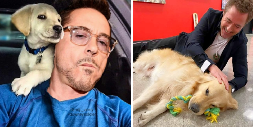 Robert Downey Jr. is truly an amazing person, not just for playing iconic roles like Iron Man, but for his big heart when it comes to animals ❤️🐾. He has a deep love for animals and has opened his home to many rescue pets, giving them the love, care, and forever homes they deserve. People like him are a blessing, showing compassion to animals who need it most. Robert’s love for animals isn’t just something he talks about—it’s something he lives every day. He and his wife, Susan, have adopted several rescue pets, including two kittens named Monty and D’Artagnan, who quickly became part of their family 🐱🐾. In 2017, Robert also rescued Moly, a black cat who had been through a tough past, but is now safe and happy in their home. Robert’s love for animals doesn’t stop with cats and dogs. His home in Malibu is filled with rescued animals like goats, chickens, pigs, cows, and even alpacas 🦙! His property has big green spaces where these animals can roam and play, enjoying a life that’s much more like the wild. It's heartwarming to know that he’s created a sanctuary for so many creatures that needed a second chance at life. Robert admits that he was initially hesitant to adopt rescue animals because their stories of suffering made him sad. But over time, he realized he couldn’t live without them, and now, he’s dedicated to giving them the love they deserve 🥰. His actions show that even a Hollywood star can have a huge heart for animals, and it’s inspiring to see someone so famous using their platform to spread love and kindness to all creatures.