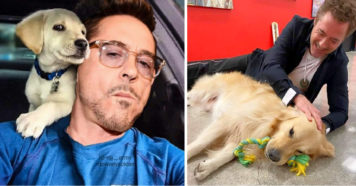 Robert Downey Jr. is truly an amazing person, not just for playing iconic roles like Iron Man, but for his big heart when it comes to animals ❤️🐾. He has a deep love for animals and has opened his home to many rescue pets, giving them the love, care, and forever homes they deserve. People like him are a blessing, showing compassion to animals who need it most. Robert’s love for animals isn’t just something he talks about—it’s something he lives every day. He and his wife, Susan, have adopted several rescue pets, including two kittens named Monty and D’Artagnan, who quickly became part of their family 🐱🐾. In 2017, Robert also rescued Moly, a black cat who had been through a tough past, but is now safe and happy in their home. Robert’s love for animals doesn’t stop with cats and dogs. His home in Malibu is filled with rescued animals like goats, chickens, pigs, cows, and even alpacas 🦙! His property has big green spaces where these animals can roam and play, enjoying a life that’s much more like the wild. It's heartwarming to know that he’s created a sanctuary for so many creatures that needed a second chance at life. Robert admits that he was initially hesitant to adopt rescue animals because their stories of suffering made him sad. But over time, he realized he couldn’t live without them, and now, he’s dedicated to giving them the love they deserve 🥰. His actions show that even a Hollywood star can have a huge heart for animals, and it’s inspiring to see someone so famous using their platform to spread love and kindness to all creatures.